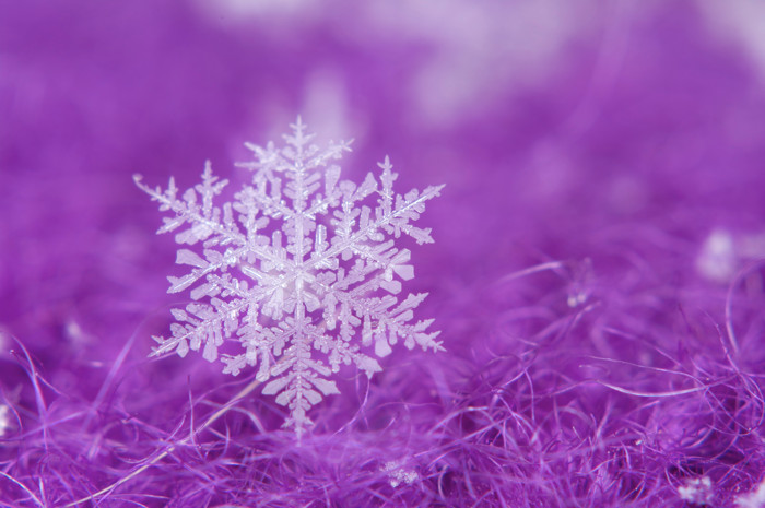 Big Purple