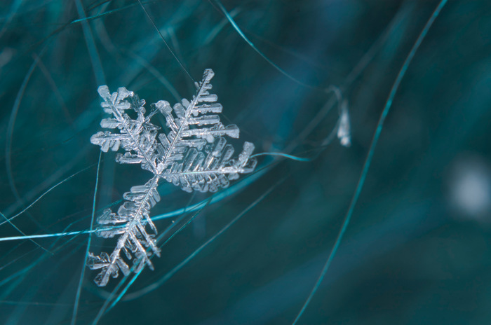 Broken Snowflake