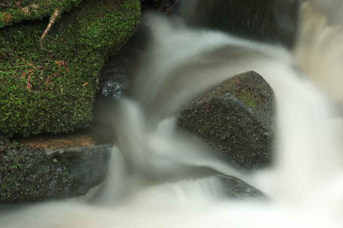 Mossy Stream