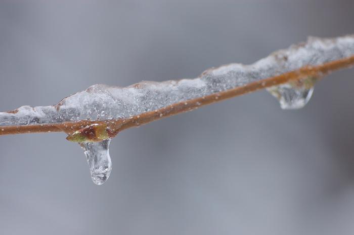 Frozen Droplets