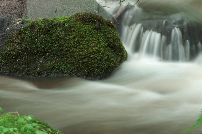 Mossy Stream