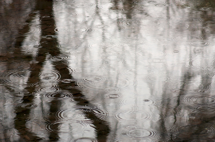 Rainy Pond