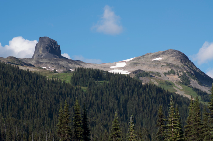 Black Tusk