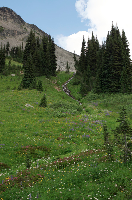 Mountainside