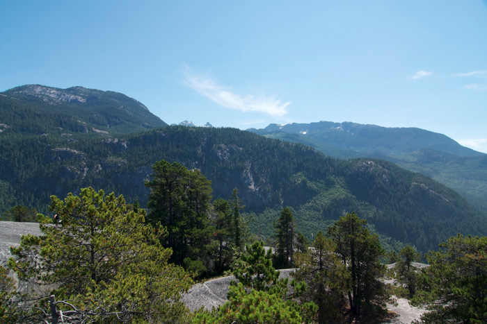 View From The Chief