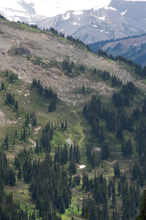 Mountainside
