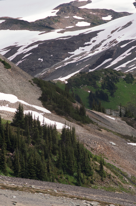 Mountainside