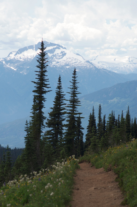 Mountain Path
