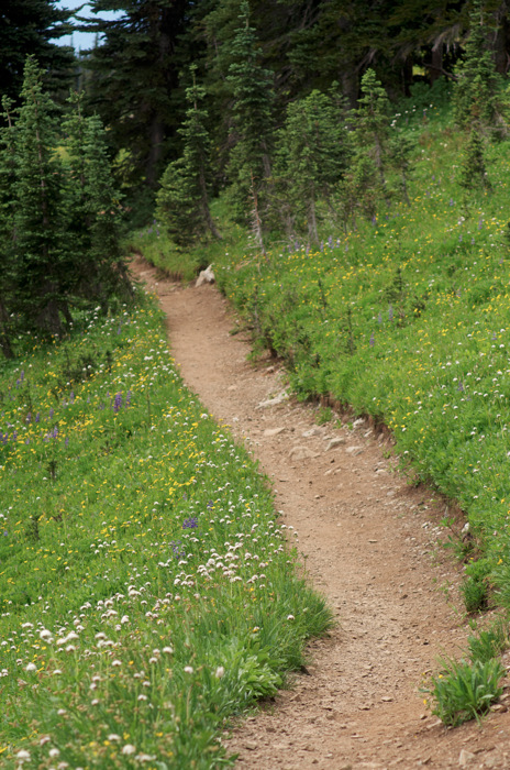 Path
