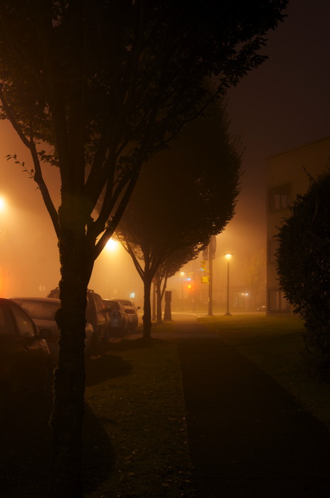 Foggy Sidewalk