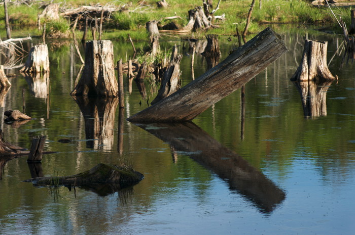 Reflections