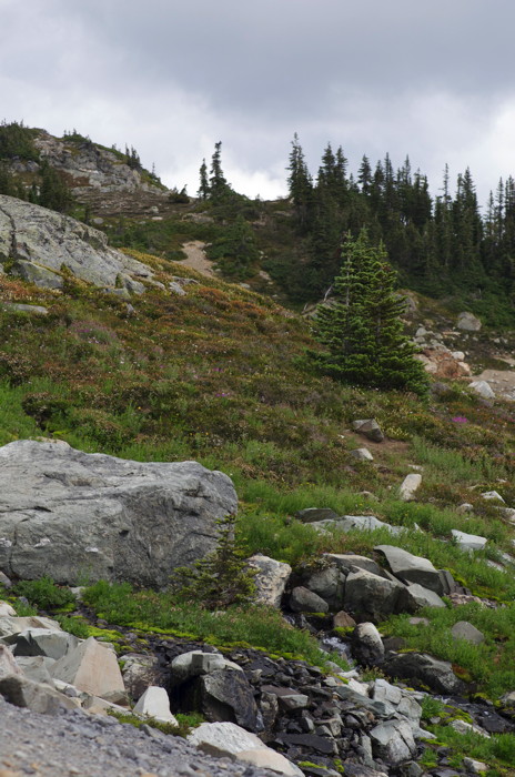 Mountainside