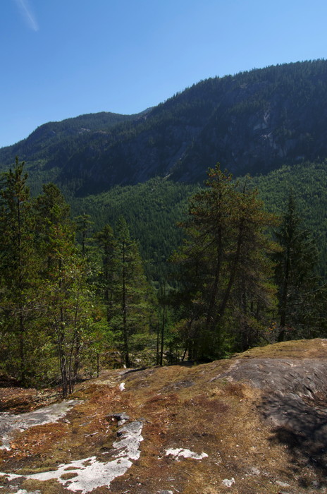 View From The Chief