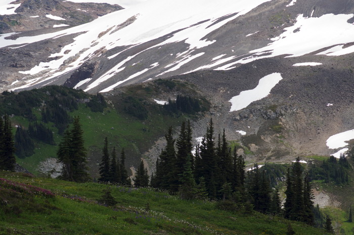 Mountainside