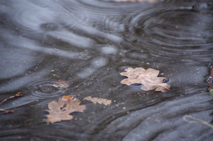 Puddle
