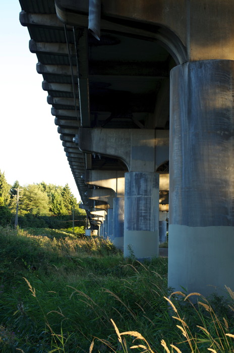 Oak Street Bridge