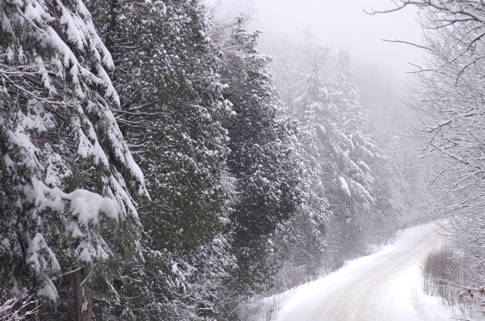 Winter Road