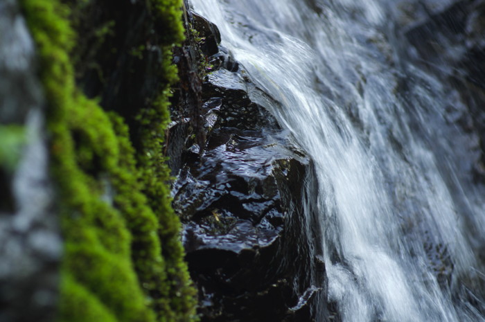 Mossy Waterfall