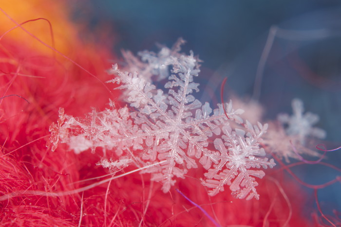Snow Flakes