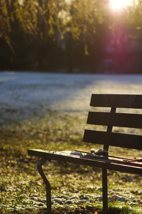 Park Bench