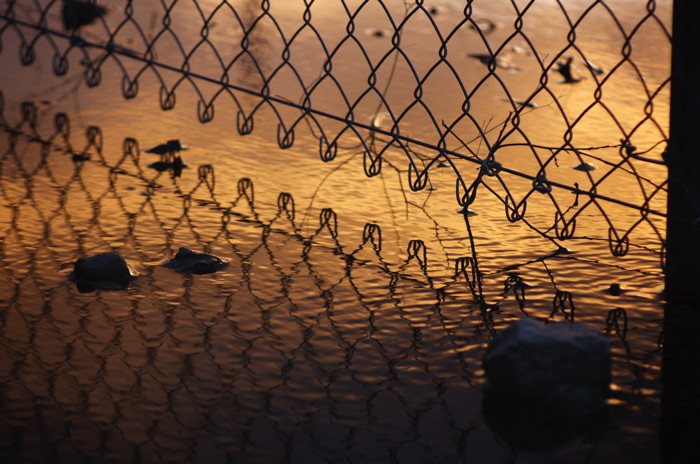 Fence Reflection