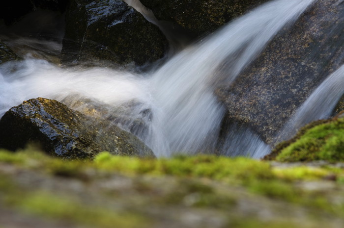 Mossy Stream